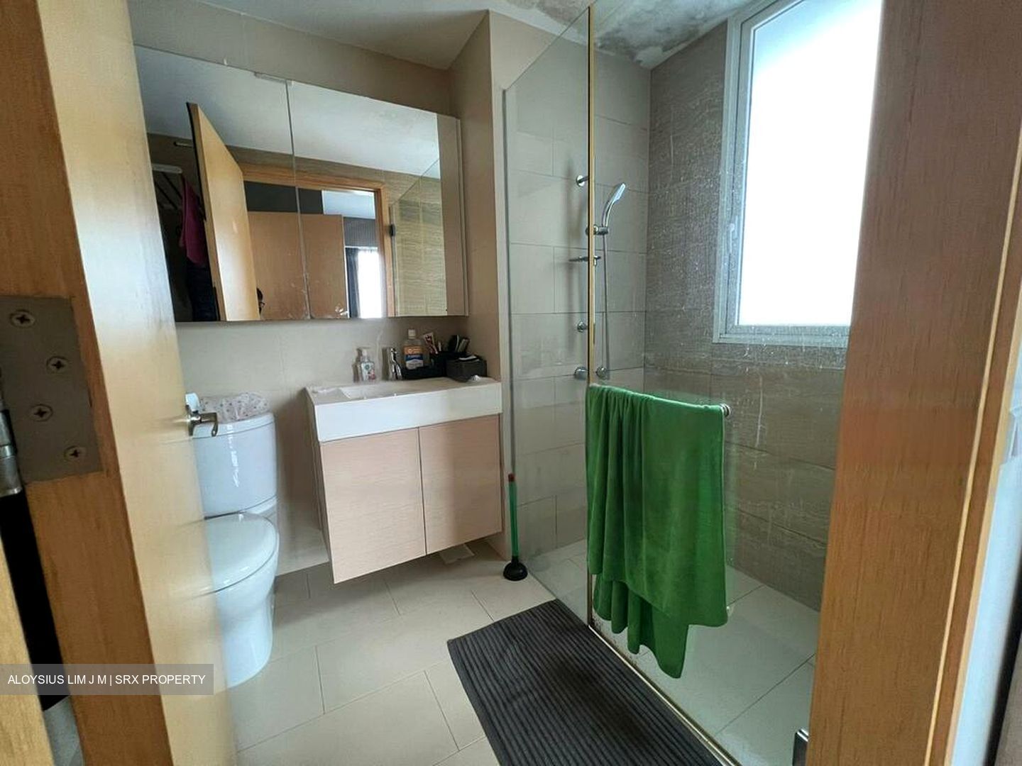 Waterview (D18), Condominium #455969521